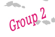  Group 2 
